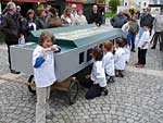 Mundharmonikaspatzen